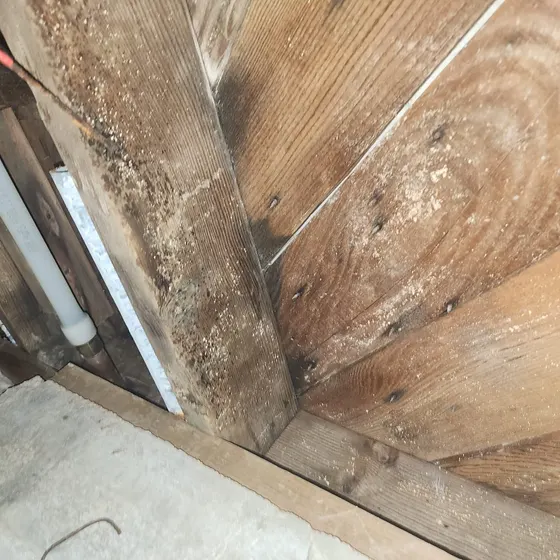 Stained joists under a raised floor, Central LA
