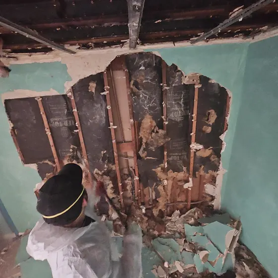 Removing moldy ceiling drywall, Central LA