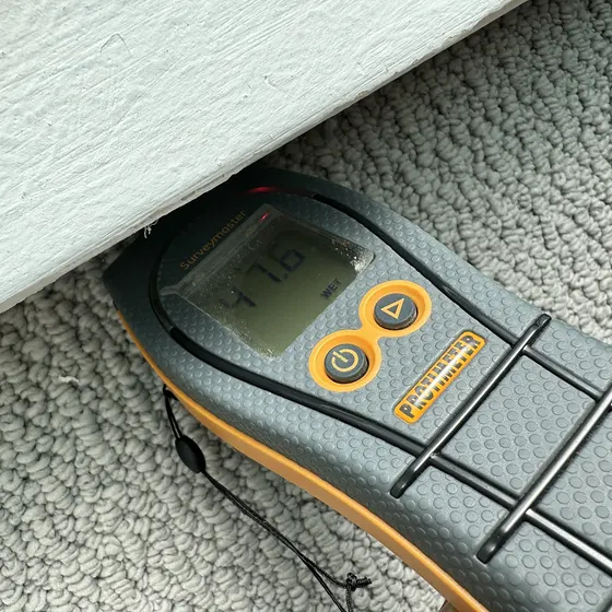 Moisture reading on wet carpet, Central LA