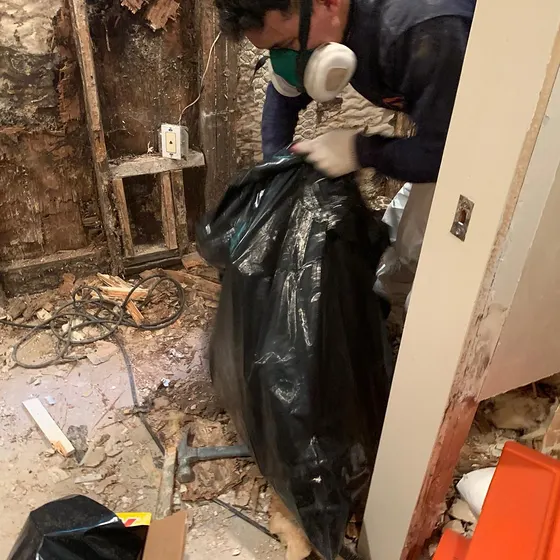 Bagging moldy drywall for removal, Central LA