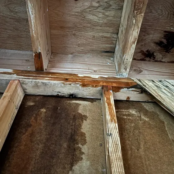 Water-stained subfloor and joists, Branch not recorded