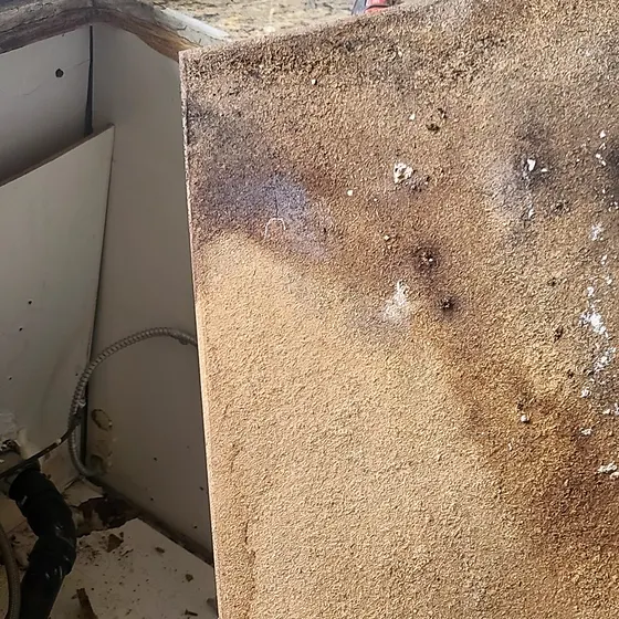 Mold behind a kitchen cabinet, Central LA