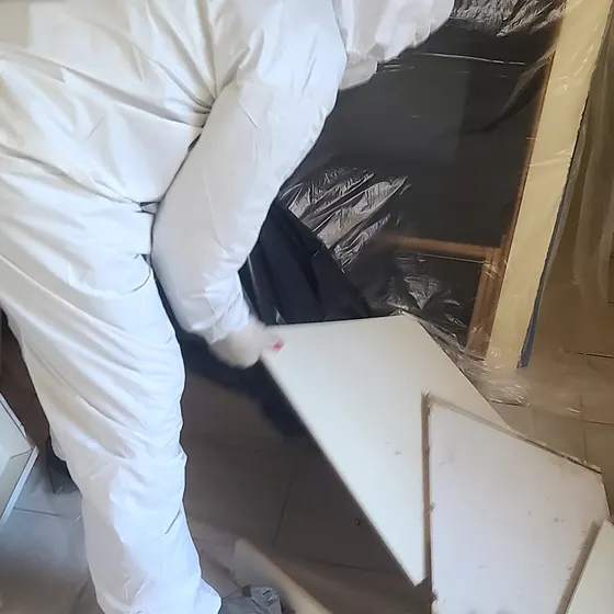 Removing moldy materials in full PPE, Central LA