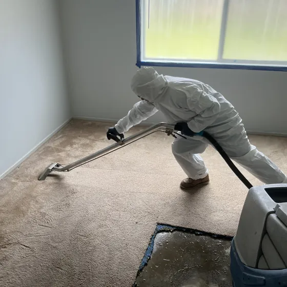 Mold removal inside containment, Greater Seattle