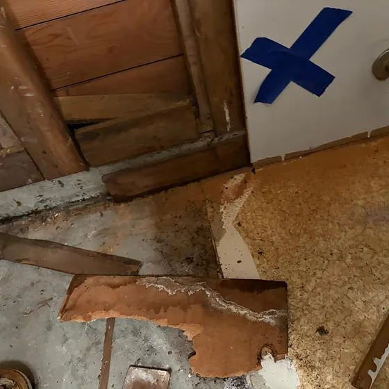 Mold under removed flooring, Branch not recorded
