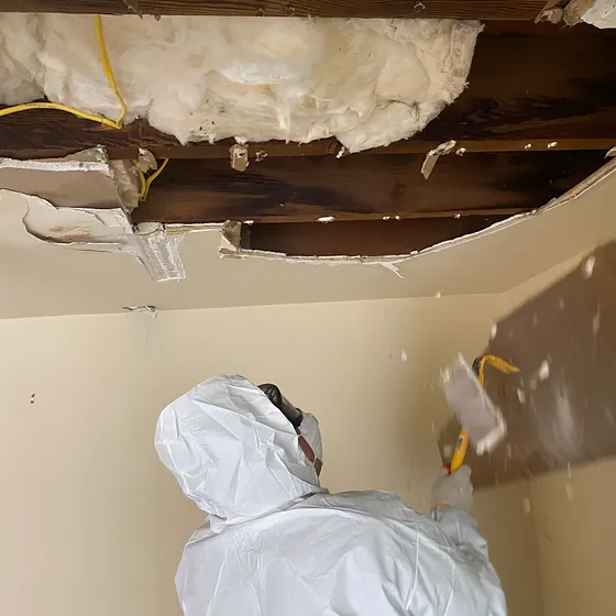 Removing a damaged ceiling in full PPE, South Bay