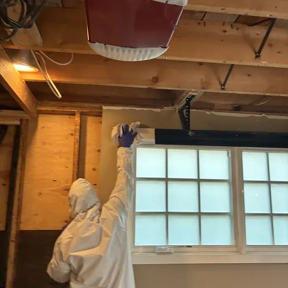 Removing a moldy garage ceiling, Greater Seattle