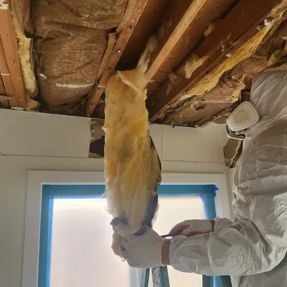 Removing wet insulation, San Gabriel Valley