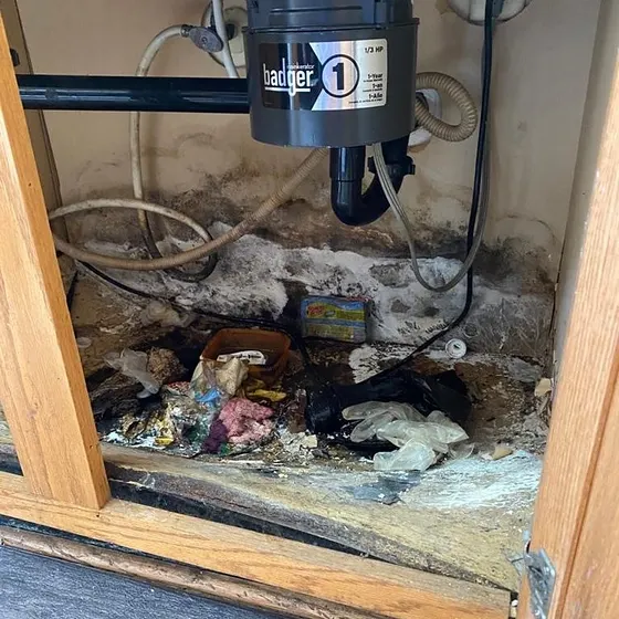 Leak under a kitchen sink, South Bay