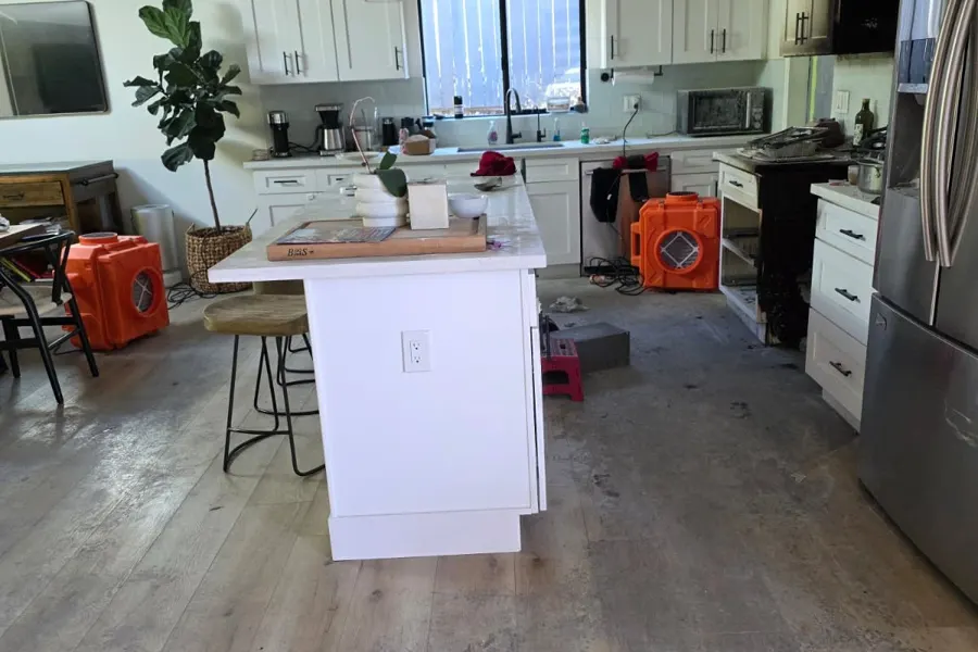 Smoke cleanup through the whole house