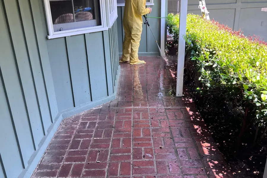 Siding and window screens