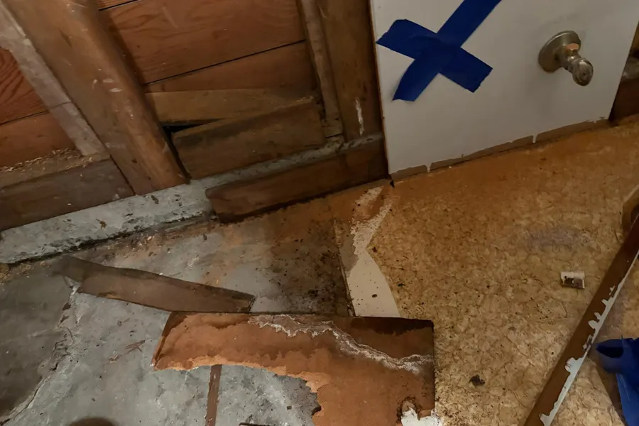 Subfloor mold under old carpet