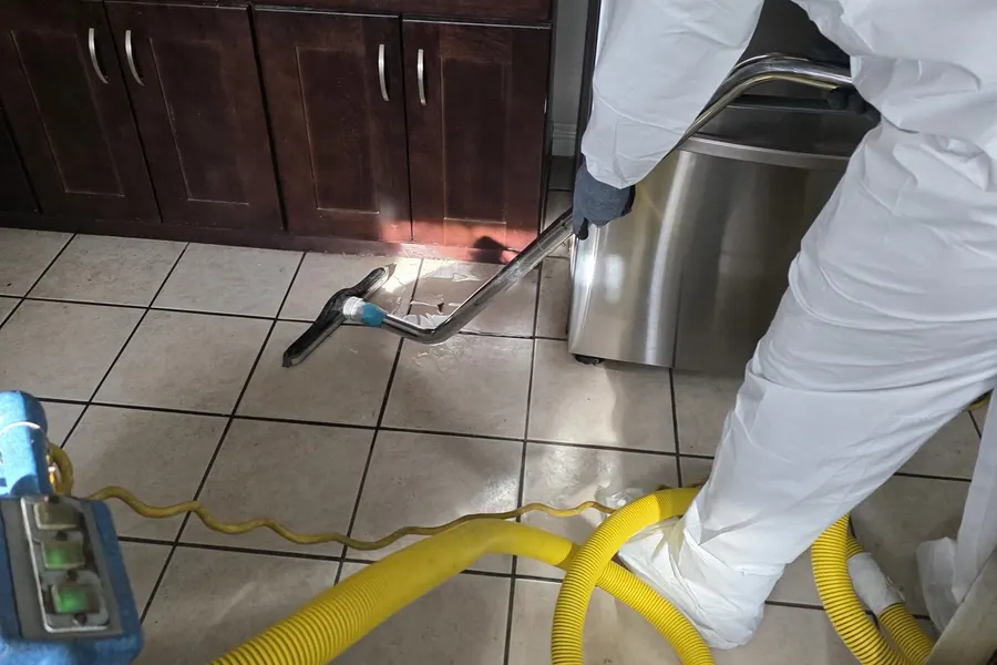 Pet odor in carpet and subfloor