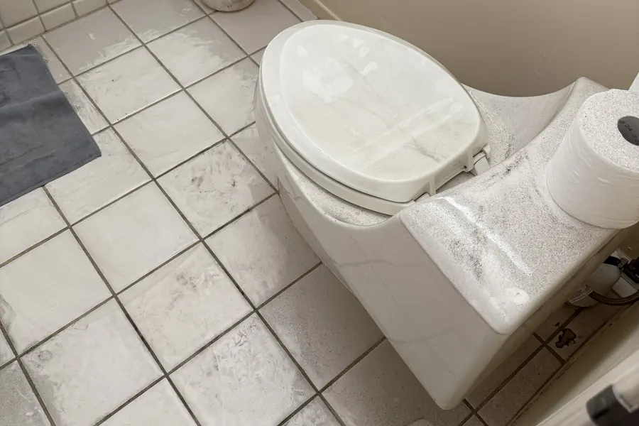 Toilet overflows