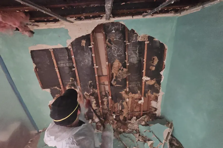 Tree limb through a bedroom roof
