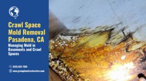 Crawl Space Mold Removal Pasadena - Green Planet Restoration