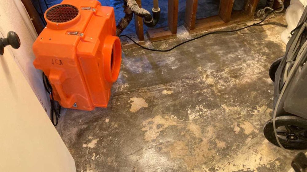 Flooded Crawl Space - Green Planet Restoration