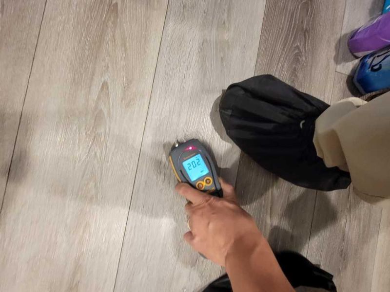 Moisture Meter Reading - Green Planet Restoration