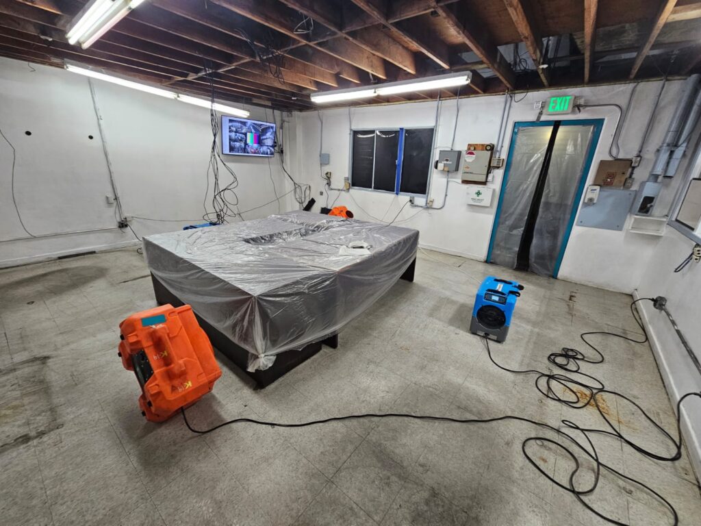 Professional Odor Removal Techniques - Green Planet Restoration