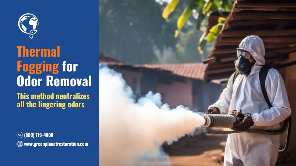 Thermal Fogging for Odor Removal - Green Planet Restoration