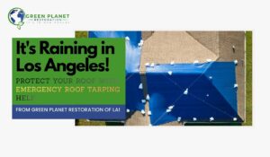 Emergency Roof Tarping Help - Green Planet Restoration