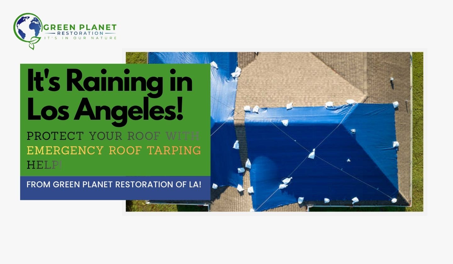Emergency Roof Tarping Help - Green Planet Restoration