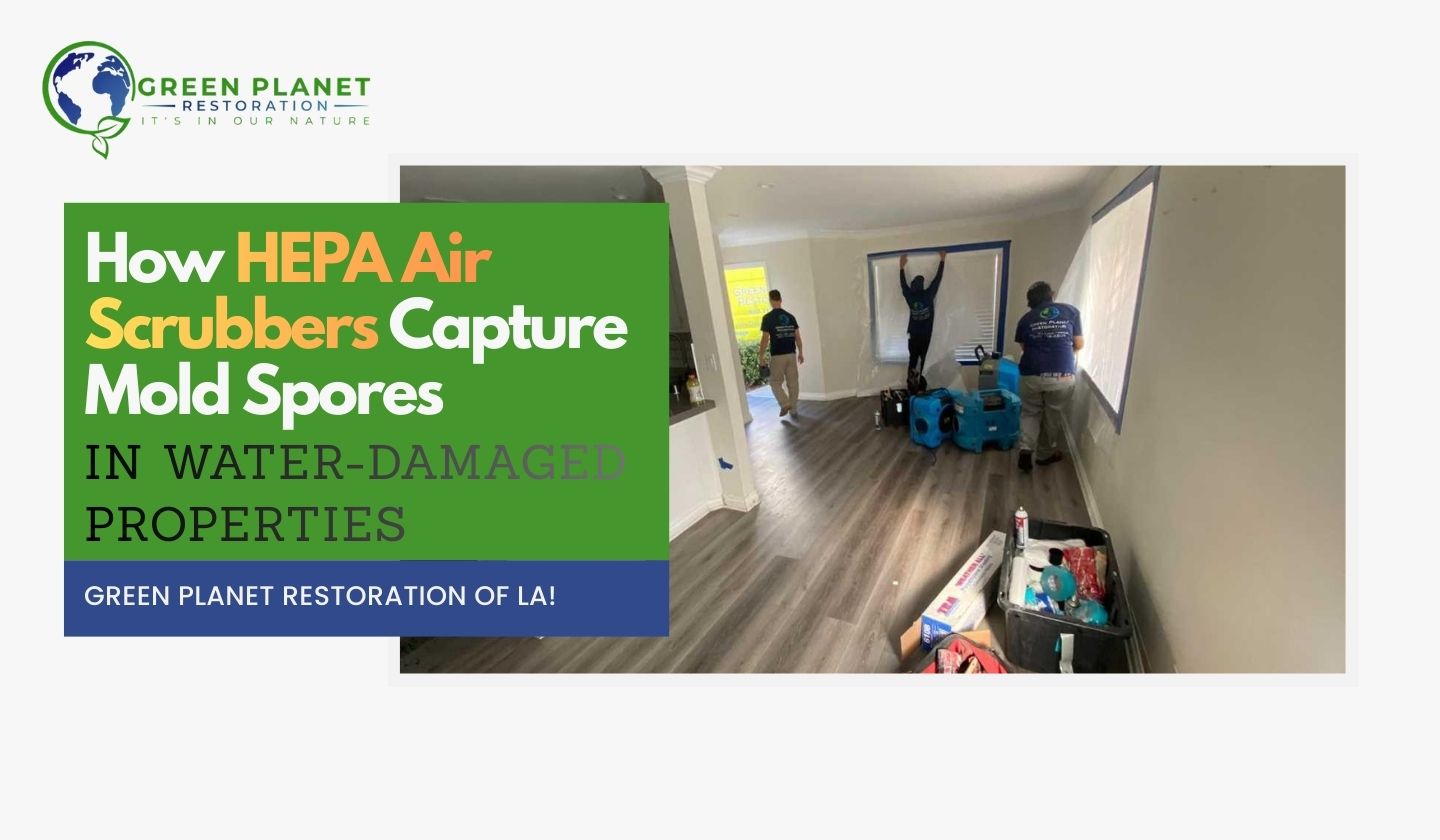 HEPA Air Scrubbers - Green Planet Restoration of LA