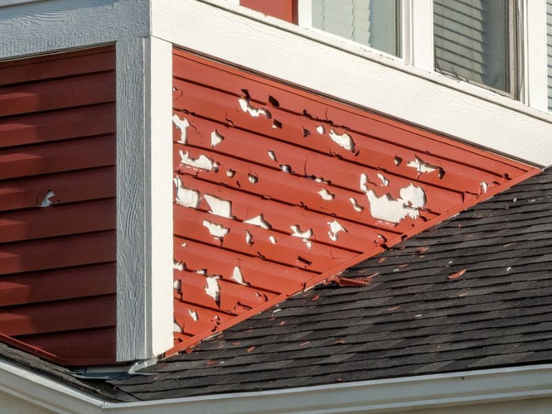 Hail Damage to Sidings - Green Planet Restoration