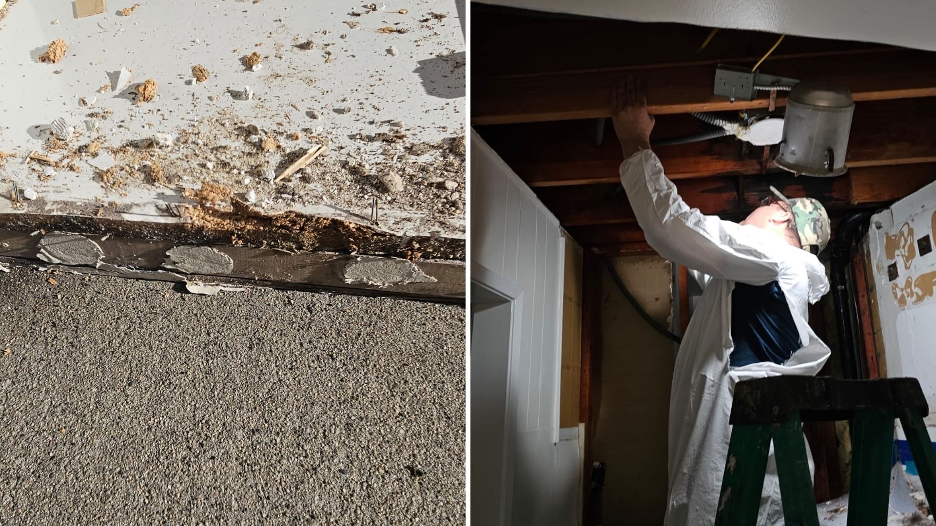 Stains warping and peeling paint - Green Planet Restoration Stains warping and peeling paint - Green Planet Restoration