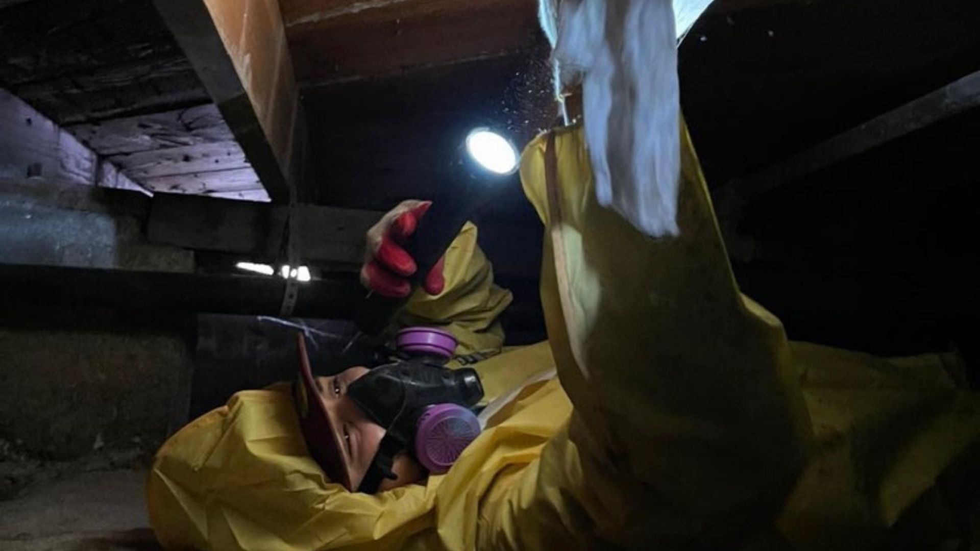 Visually Inspecting Crawl Space - Green Planet Restoration Visually Inspecting Crawl Space - Green Planet Restoration