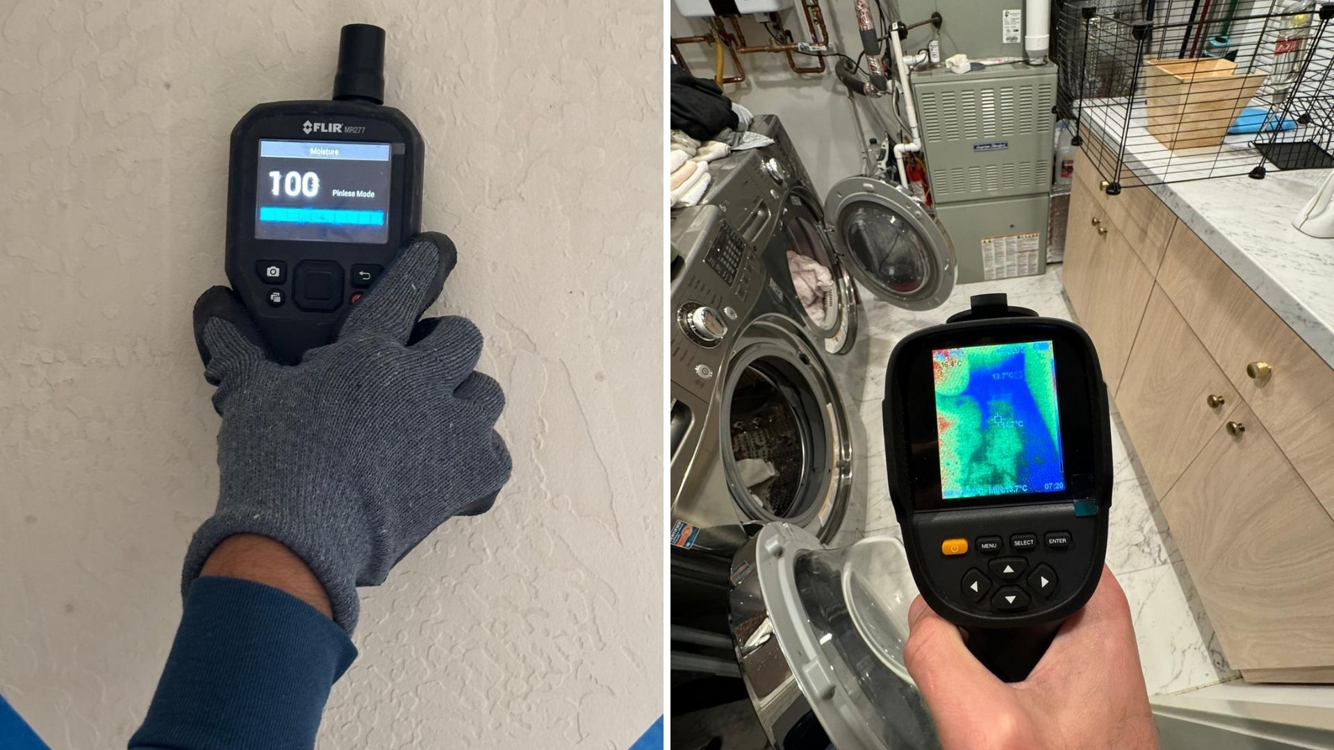 Monitor Moisture Levels - Green Planet Restoration Monitor Moisture Levels - Green Planet Restoration