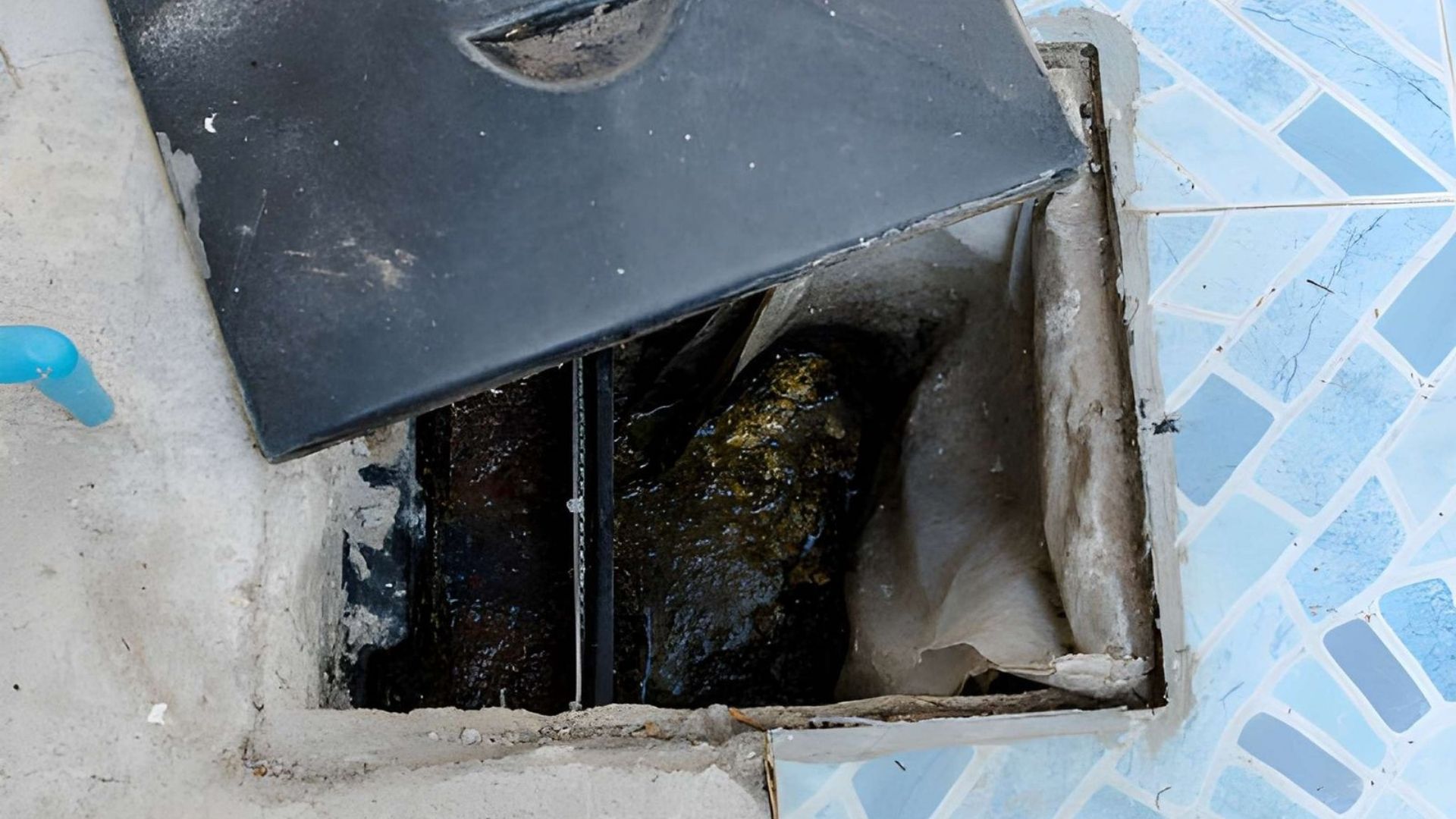 Sewage Waste Treatment - Green Planet Restoration Sewage Waste Treatment - Green Planet Restoration