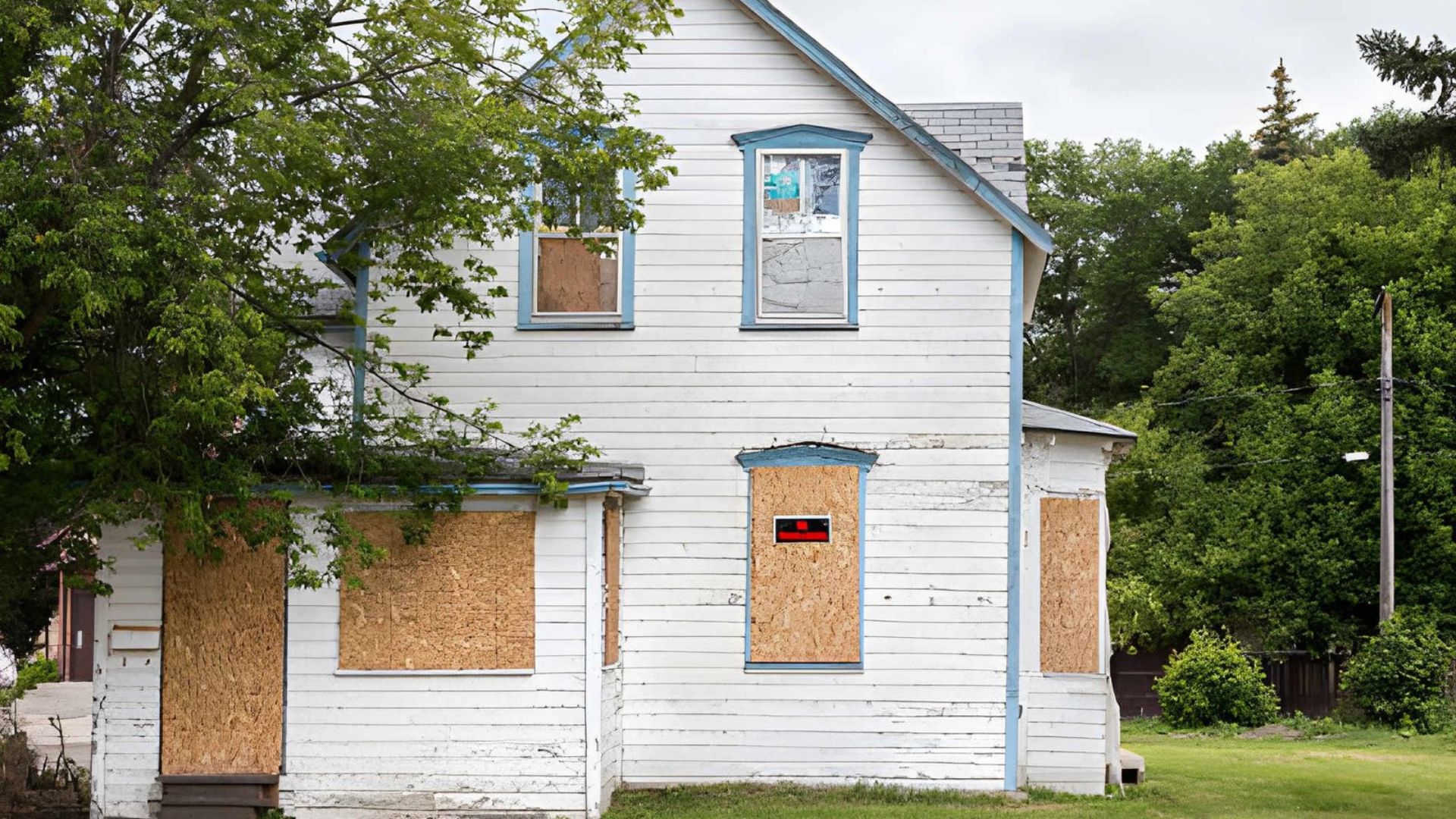 Exterior-Grade Plywood Sheets - Green Planet Restoration