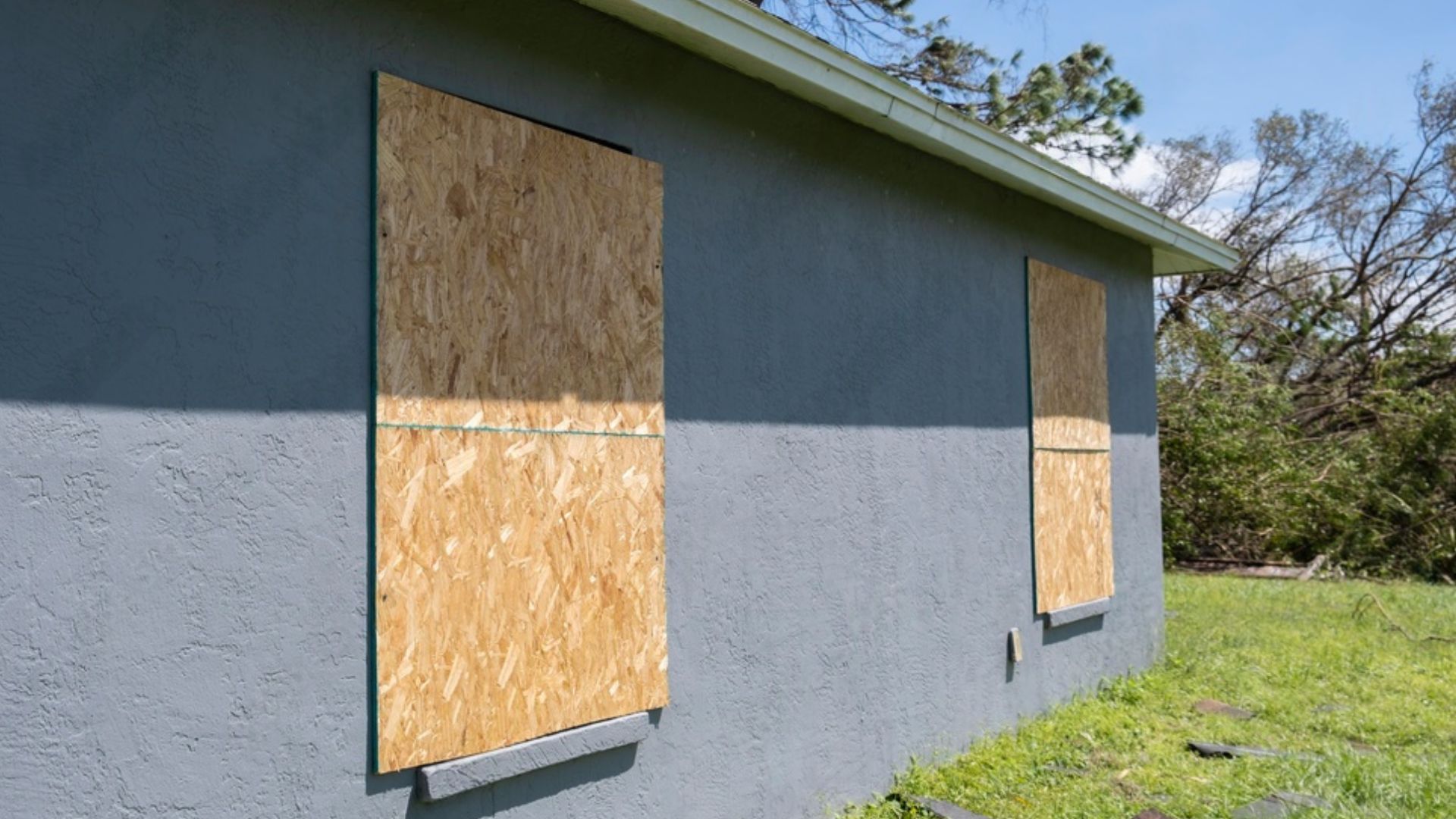 Exterior Plywood Sheets - Green Planet Restoration Exterior Plywood Sheets - Green Planet Restoration