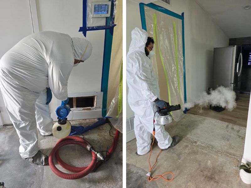 Odor Removal After Decluttering and Cleaning - Green Planet Restoration