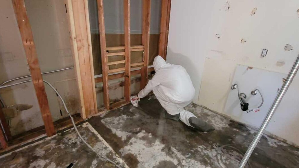 Structural Drying after Water Damage - Green Planet Restoration