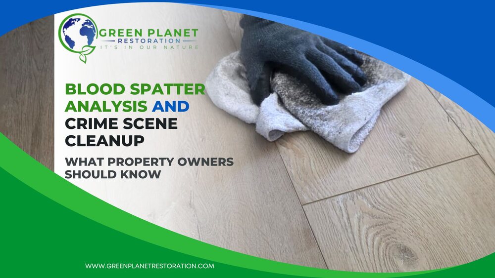 Blood Spatter Analysis Explained - Green Planet Restoration of Santa Clarita
