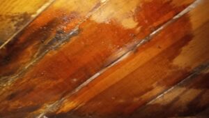 Stains on the Wooden Floor - Green Planet Restoration of Santa Clarita Stains on the Wooden Floor - Green Planet Restoration of Santa Clarita