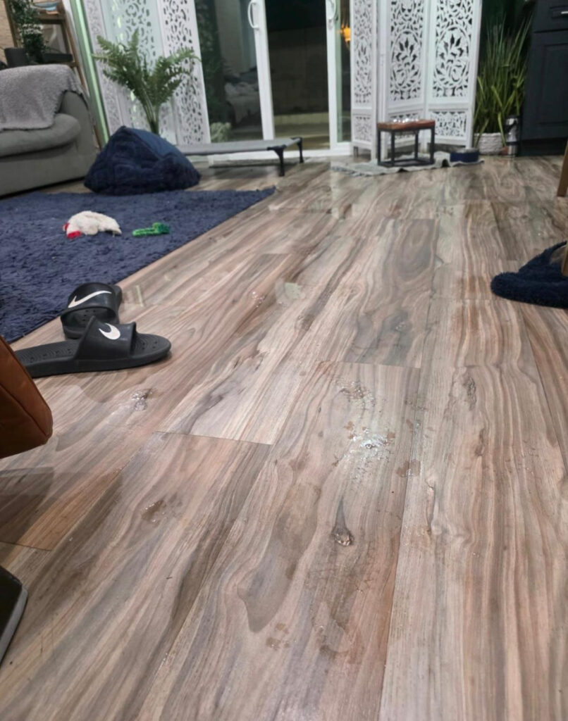 Standing water across living-area flooring in a Long Beach, CA 90808 water damage project.