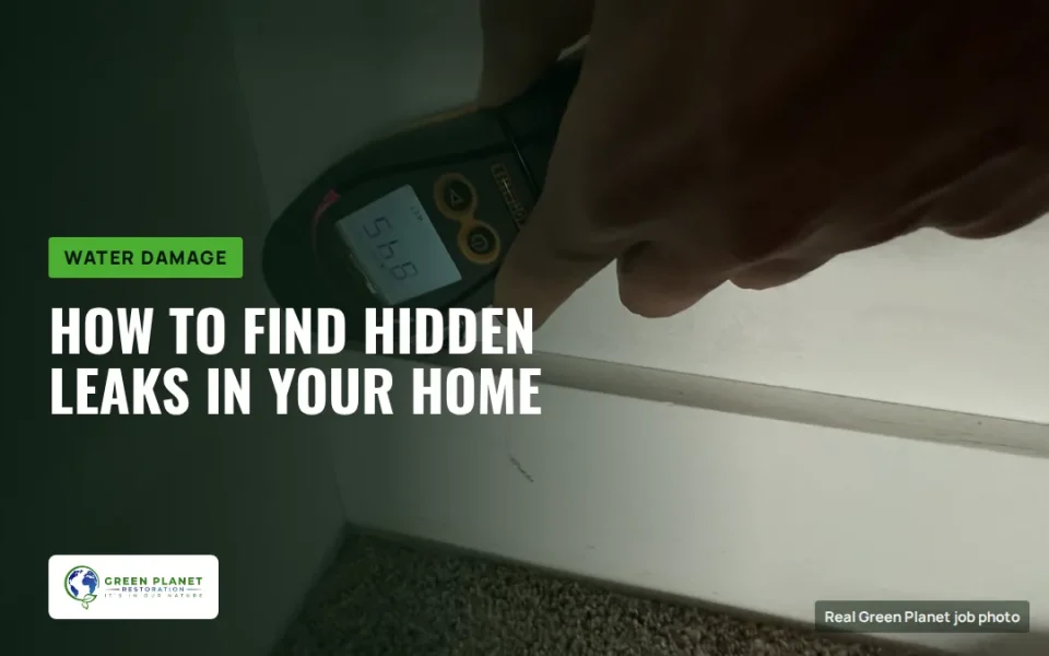 A Guide for the Desperate – How to Find Home Leaks