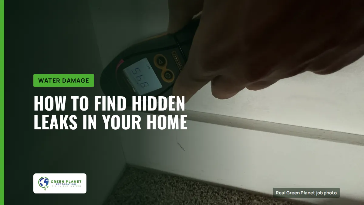 How to Find Hidden Leaks in Your Home | Green Planet Restoration