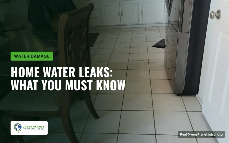 Home Water Leaks: What You Must Know