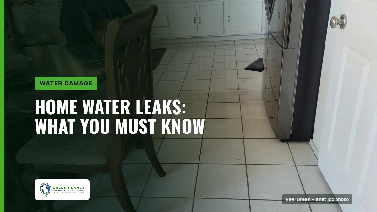 Home Water Leaks: What You Must Know | Green Planet Restoration
