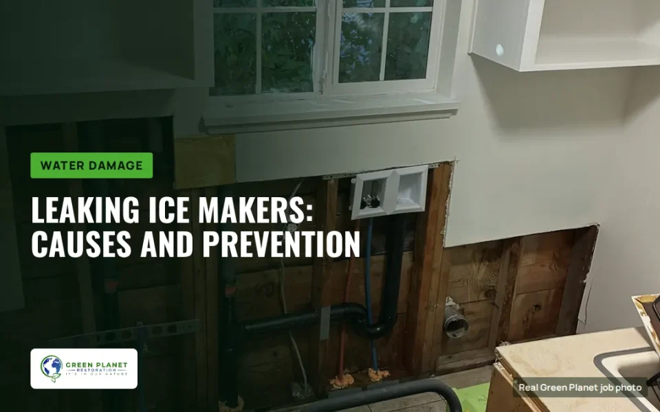 Leaking Ice Makers: Why They Happen and How to Prevent Them