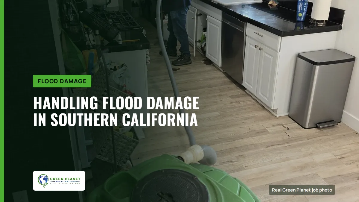 Handling Flood Damage in Southern California | Green Planet Restoration