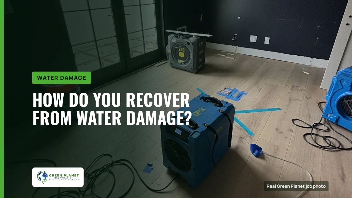 How Do You Recover From Water Damage? | Green Planet Restoration