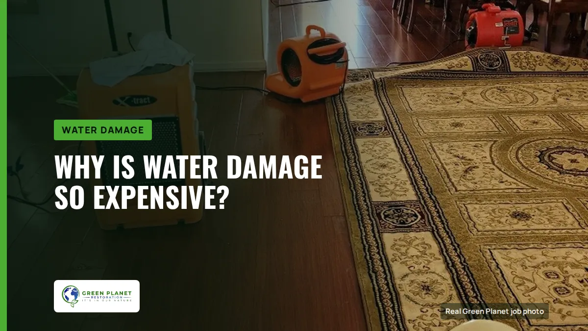 Why Is Water Damage So Expensive? | Green Planet Restoration