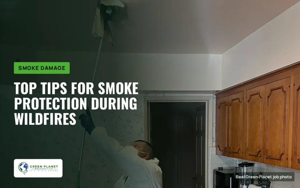 Top Tips for Smoke Protection: Protecting Your Home and Health During and After Wildfires