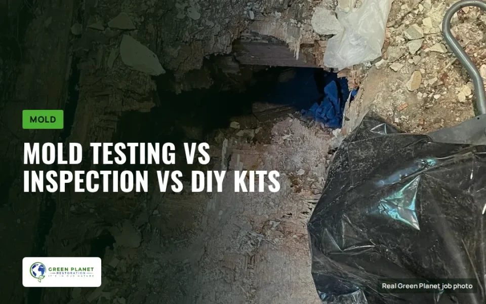 The Difference Between Professional Mold Testing, Mold Inspection, and DIY Mold Test Kits