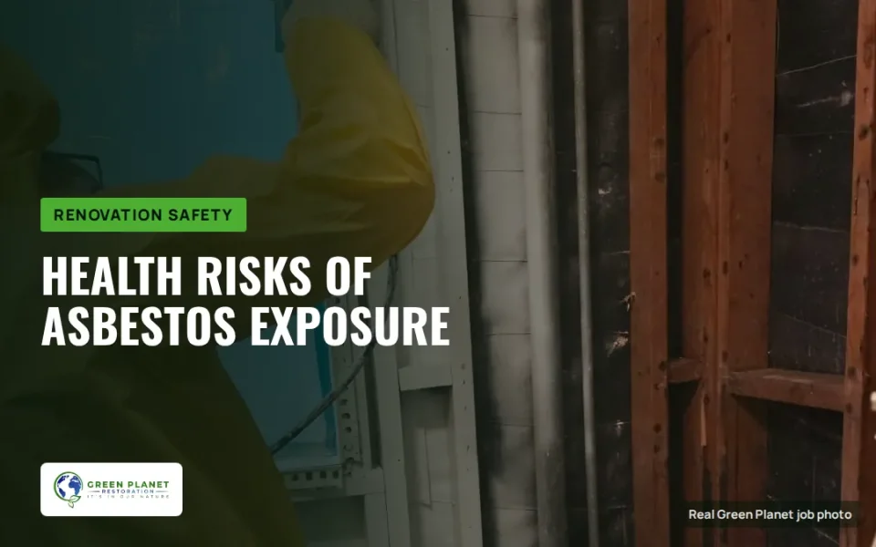 Understanding the Health Risks of Asbestos Exposure